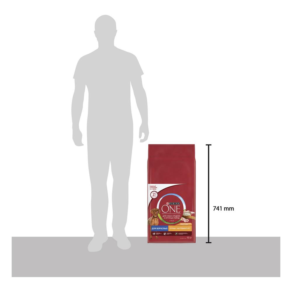 ПР0059686 Корм для собак для средних и крупных пород, курица, рис сух. 10кг ONE  - Вид №6