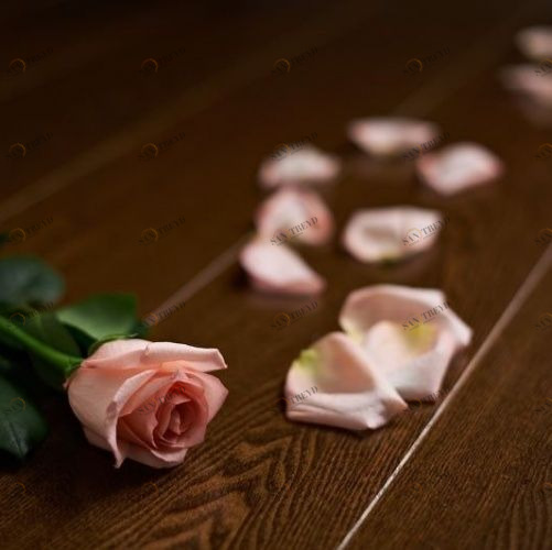 Массивная доска Amber Wood Шоколад Ясень (Гладкая) 300-1800х120 мм 2600300286