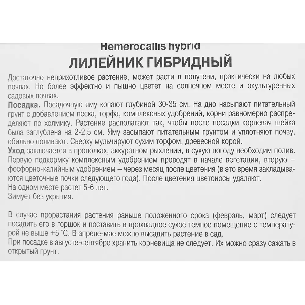 Лилейник Эверидейлили Панч Йеллоу Кап 85205693 STLM-2117499 ПОИСК  - Вид №2