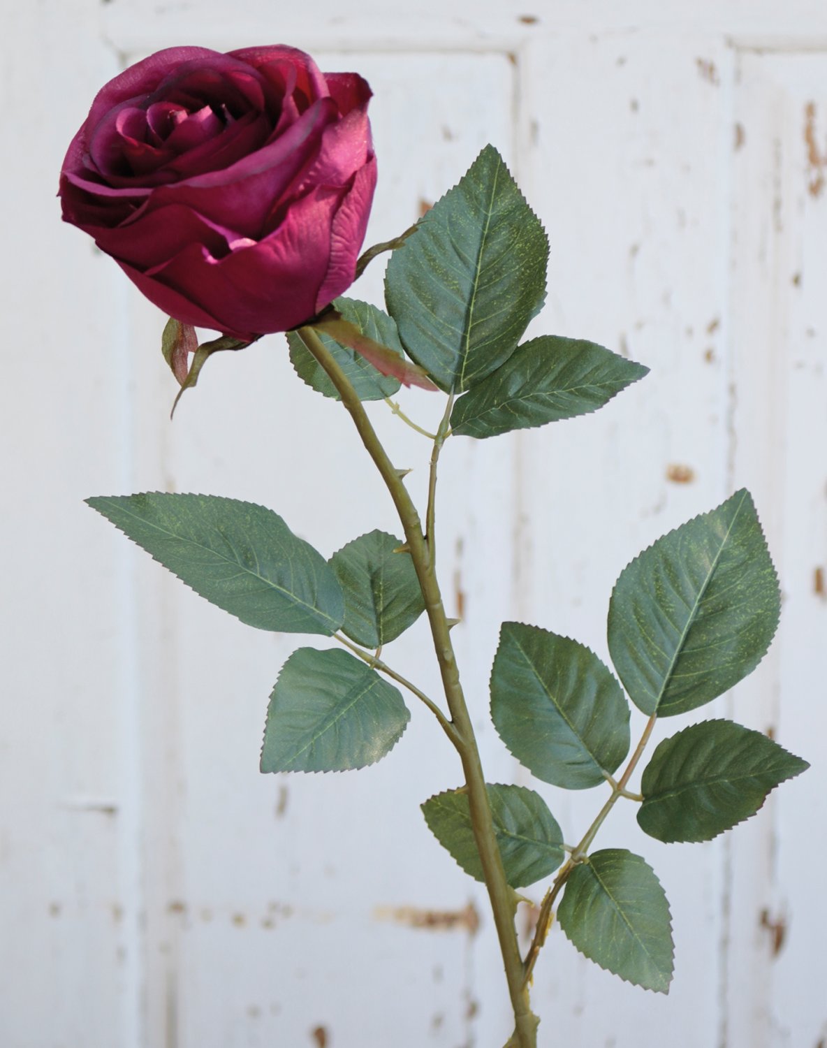 9816 499 a3 Искусственная роза, 90 см, антично-темно-красная H-andreas  - Вид №1