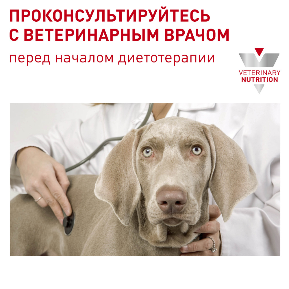 Т0043180 Корм для собак Neutered Adult Small Dog для кастрированных собак мелких пород, птица сух. 800г ROYAL CANIN  - Вид №6