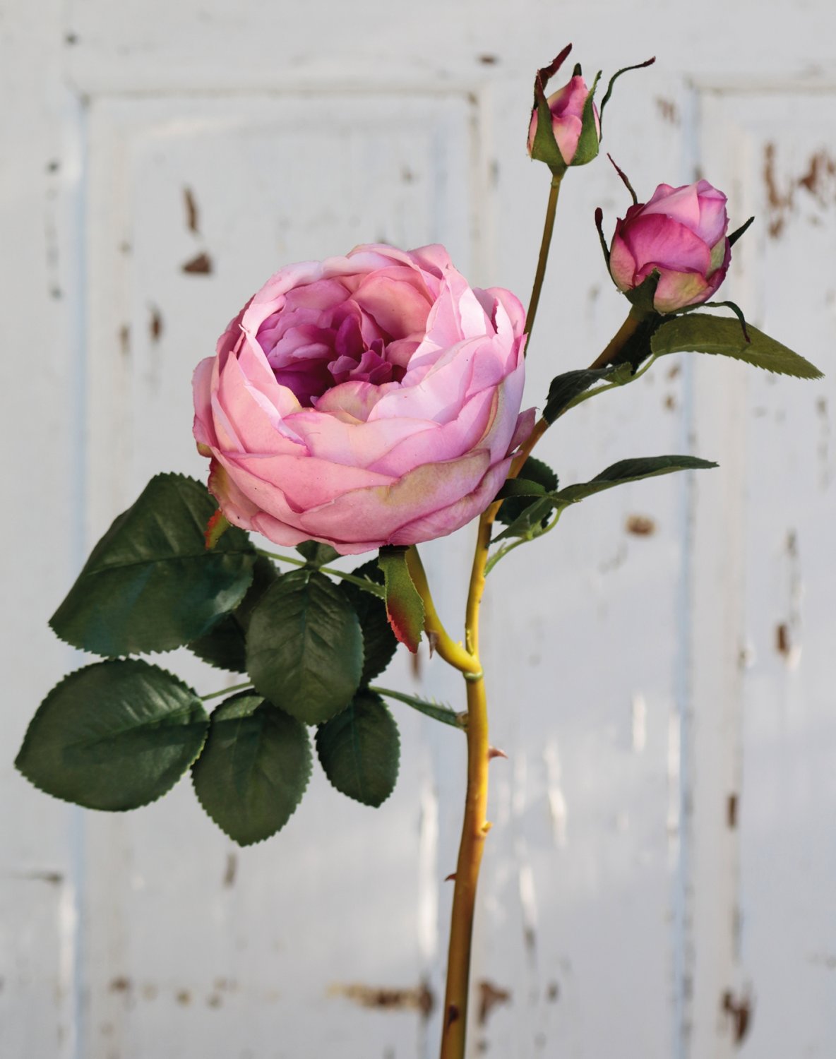 2592 597 a3 Искусственная роза, 1 цветок, 2 бутона, 60 см, real touch soft, антично-роза H-andreas  - Вид №3