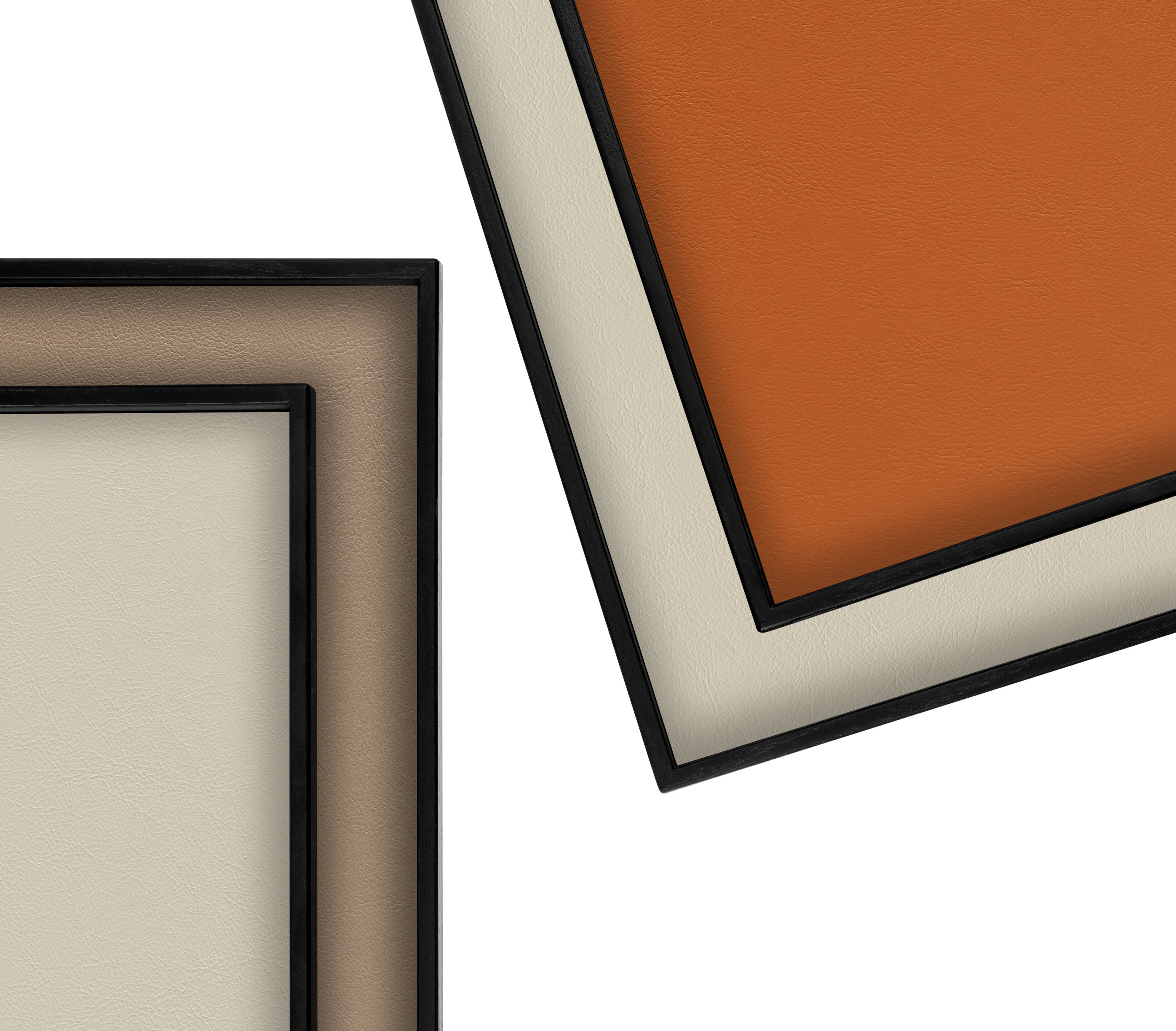 ARCH-00144811 Лоток для хранения яиц ADJ MONDO - Вид №1