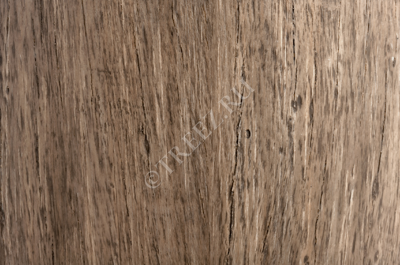 41.3317-03-012-WB-30 Кашпо  Effectory - серия Wood - Округлый конус - Светлый дуб Цветочная коллекция  - Вид №1