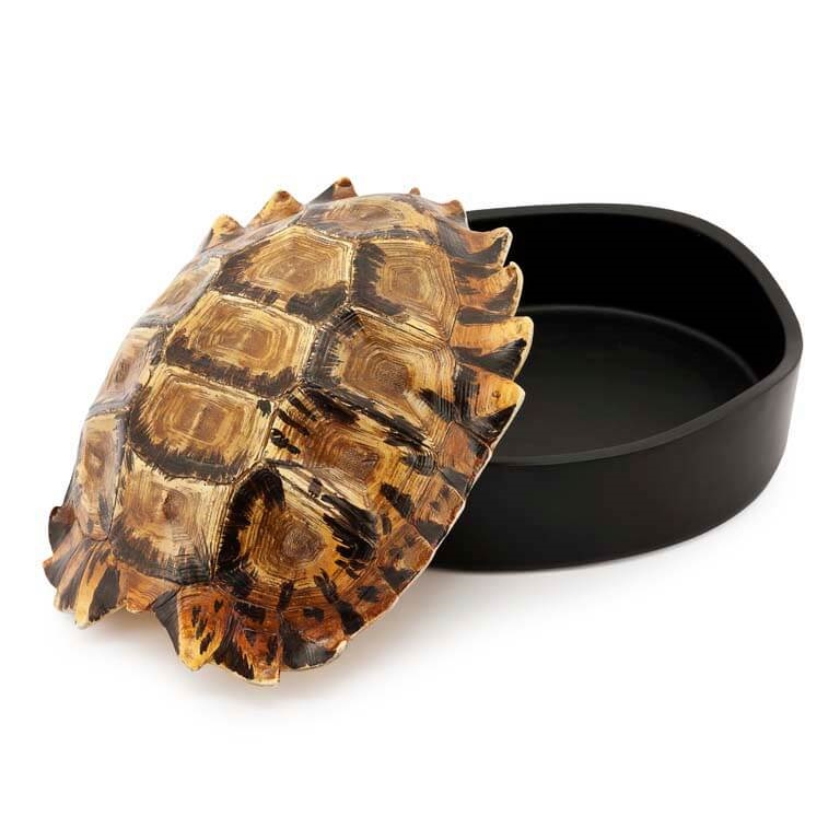 600617-00 ABHIKA ЯЩИК ЧЕРЕПАХИ DECO NATURAL  - Вид №1