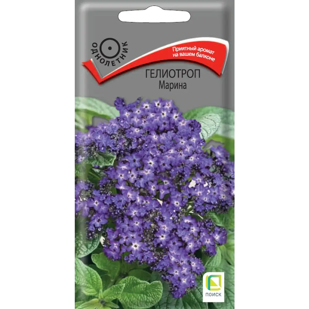 Гелиотроп Марина ПОИСК - пышные голубые соцветия для сада и балкона 89402687 STLM-1565055