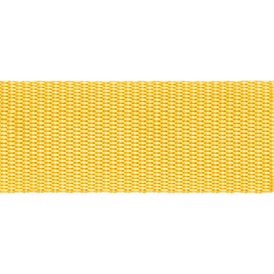 3818 Стропа 30 мм ФАСОВКА 2.5 м желтый Santreyd 