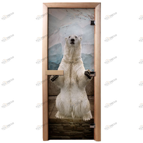 DoorWood Дверь с фотопечатью А063 5547