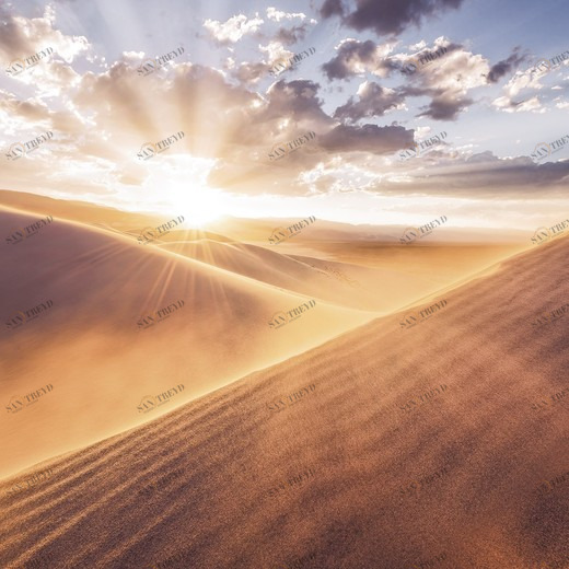 SH051-VD4-Gently-Touched Фотообои Komar Stefan Hefele 2.5х4 м SH051VD4GENTLYTOUCHED