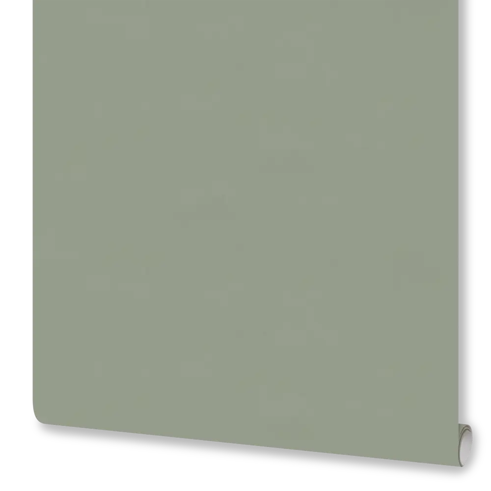 Флизелиновые обои Euro Decor Physalis зеленые 1.06 м 89426591 STLM-1563003