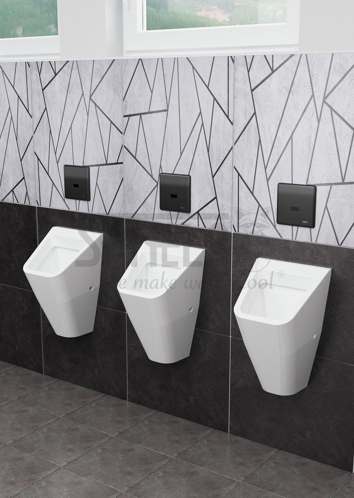 01018 Инфракрасное чёпное устройство смыва для писсуара, смонтажной коробкой, 24 В пост. ​ SANELA  - Вид №1