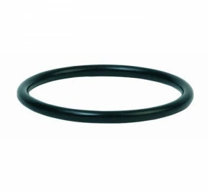 GENEBRE 0061 05 О'ринг