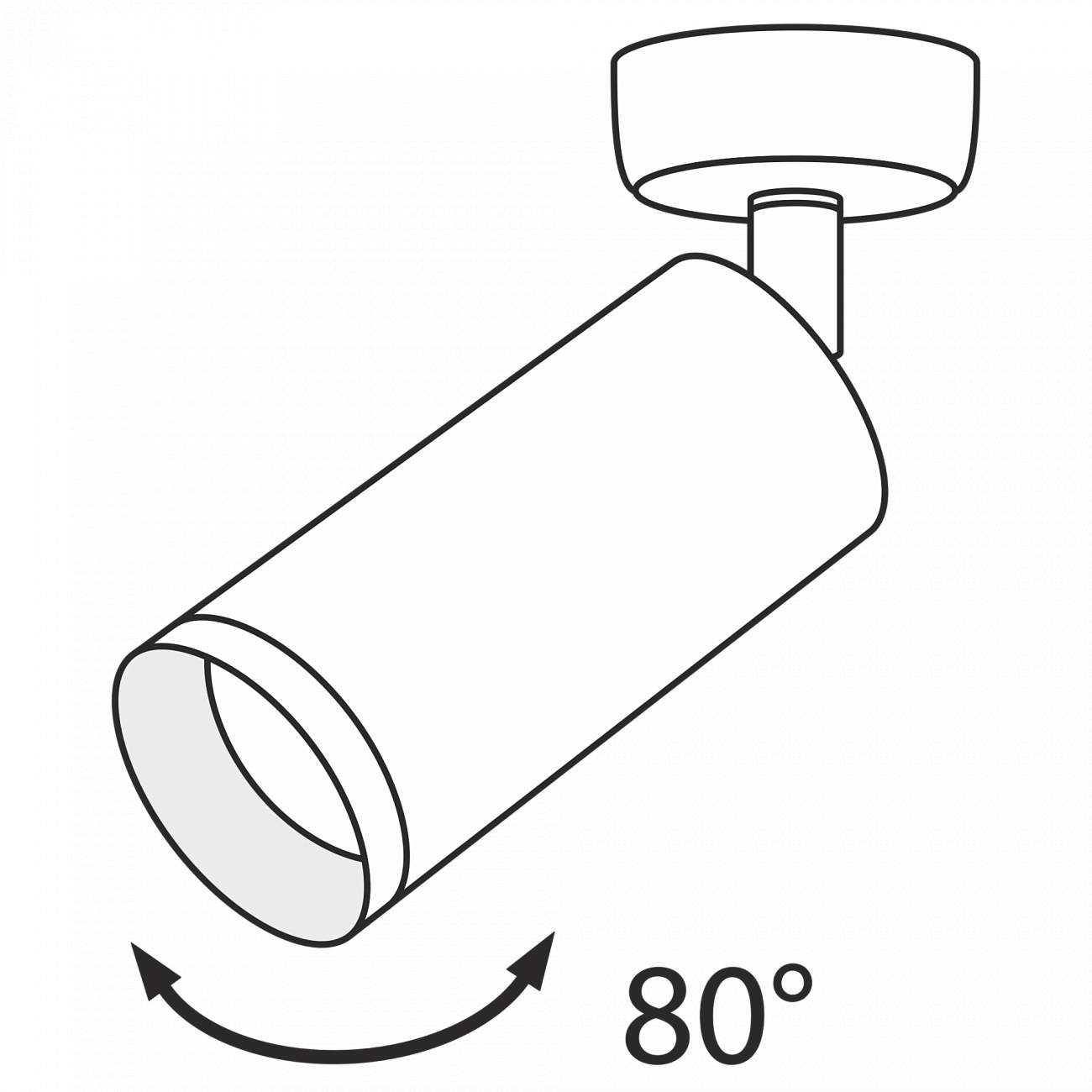 Спот потолочный галогеновый поворотный 19,5 см белый Focus C017CW-01W TECHNICAL CEILING & WALL 00-3956973 Белый  - Вид №4