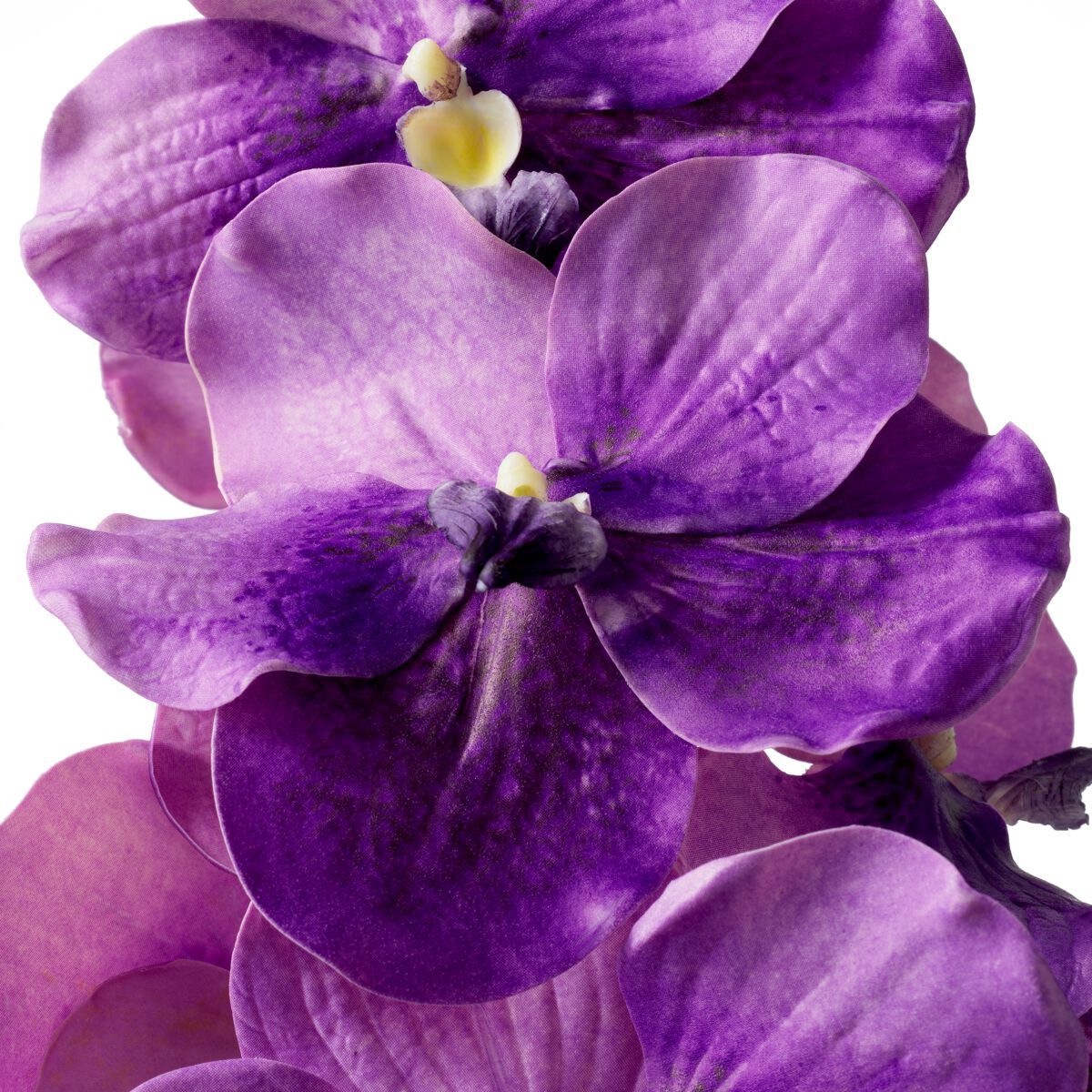 Искусственное растение Eichholtz BOUQUET OF VANDA ORCHIDS ARCH-00134531 - Вид №1