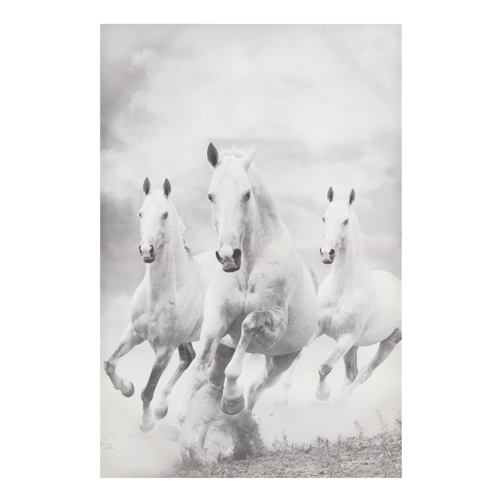 3890859.0068 картина на подрамнике TO4ROOMS  - Вид №1