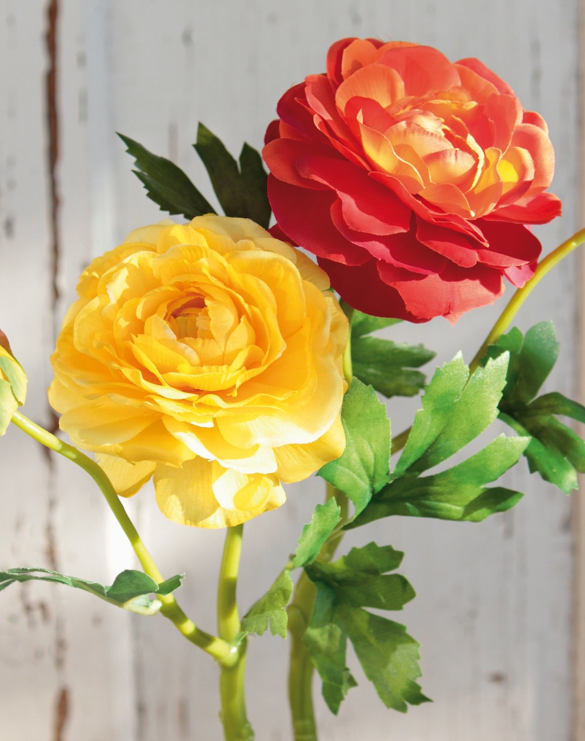 2450 334 a3 Лютик шелковый, 1 цветок, 1 бутон, 32 см, оранжевый H-andreas  - Вид №4