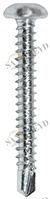 Винт RK 01 55 025 RK01 Tecfi 5,5 х 25 