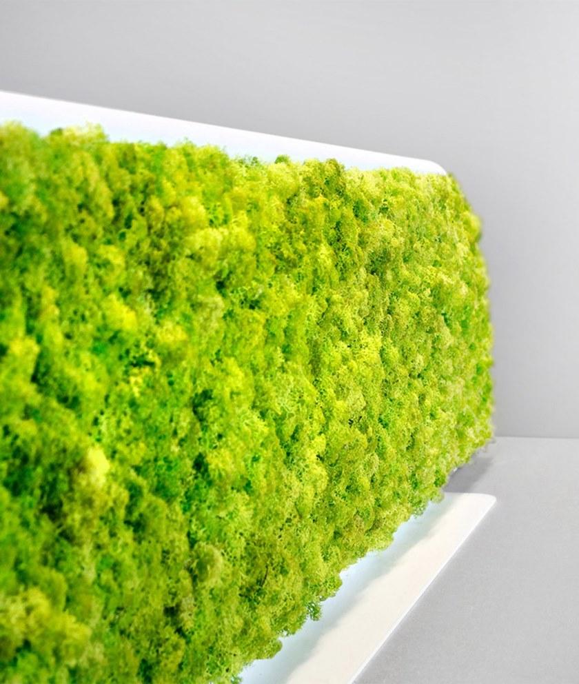 GREEN MOOD Звукопоглощающая перегородка стола G-line sun-id-1490317 - Вид №5