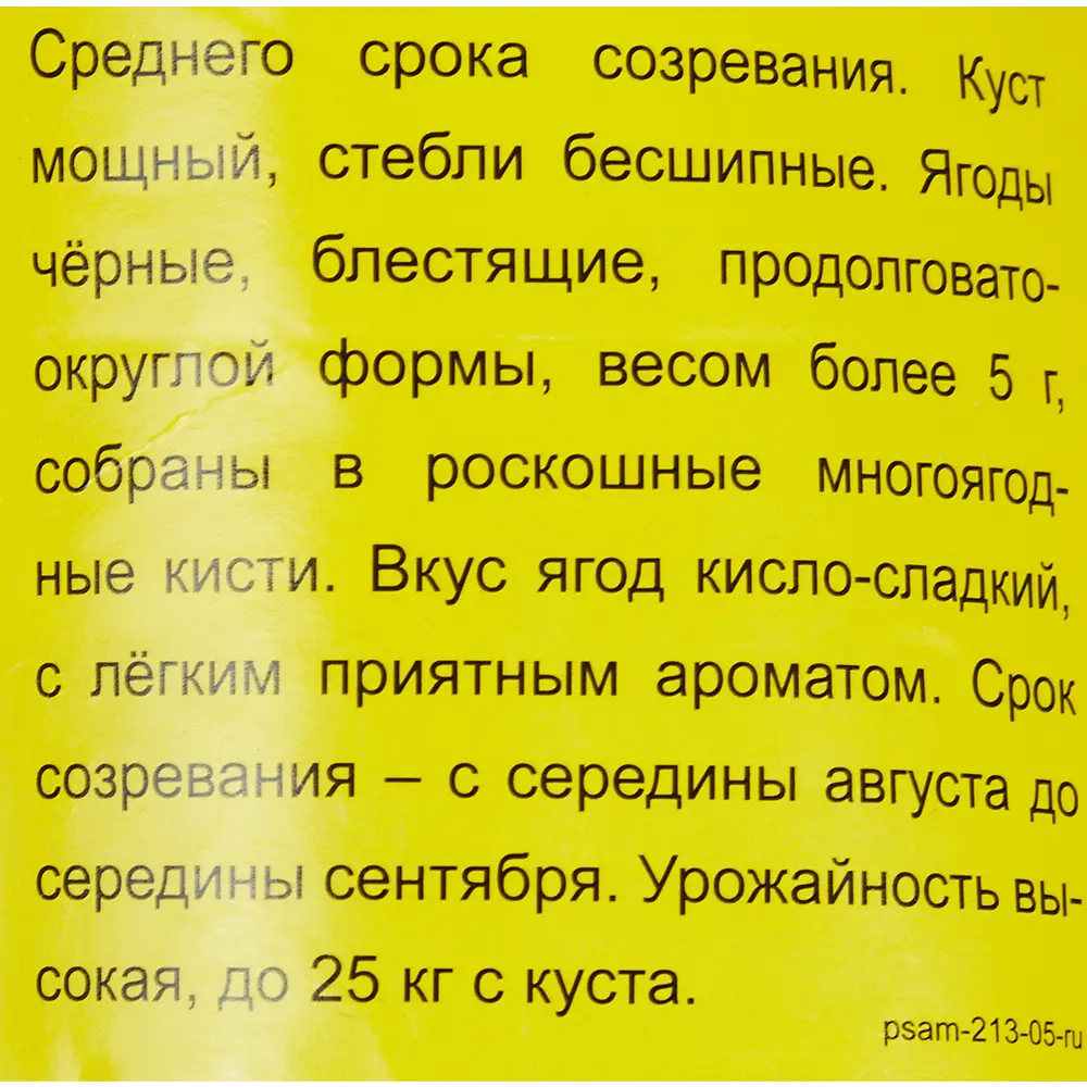 Ежевика Блэк сатин h40 см 83791404 STLM-2138762 Santreyd  - Вид №2