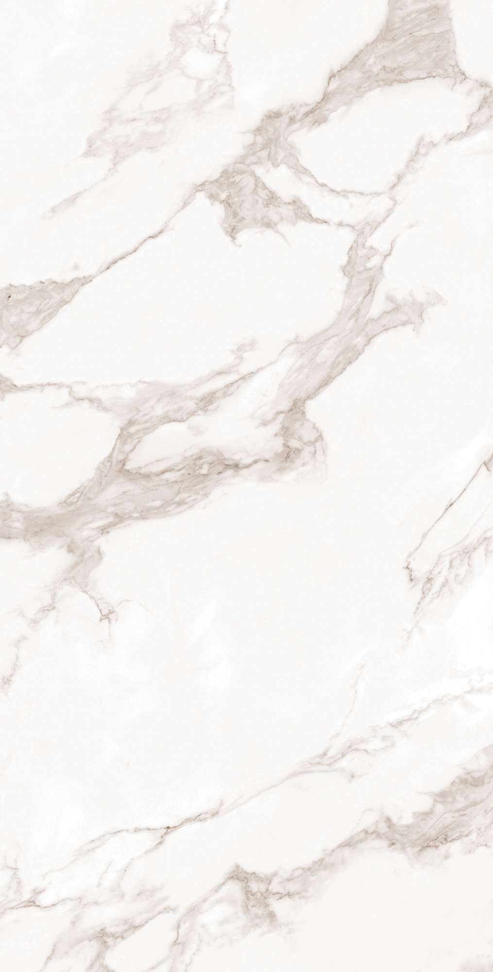 CALACATTA BIANCO — Элегантность мрамора в вашем интерьере FP1019-A Arcadia Ceramica - Вид №1