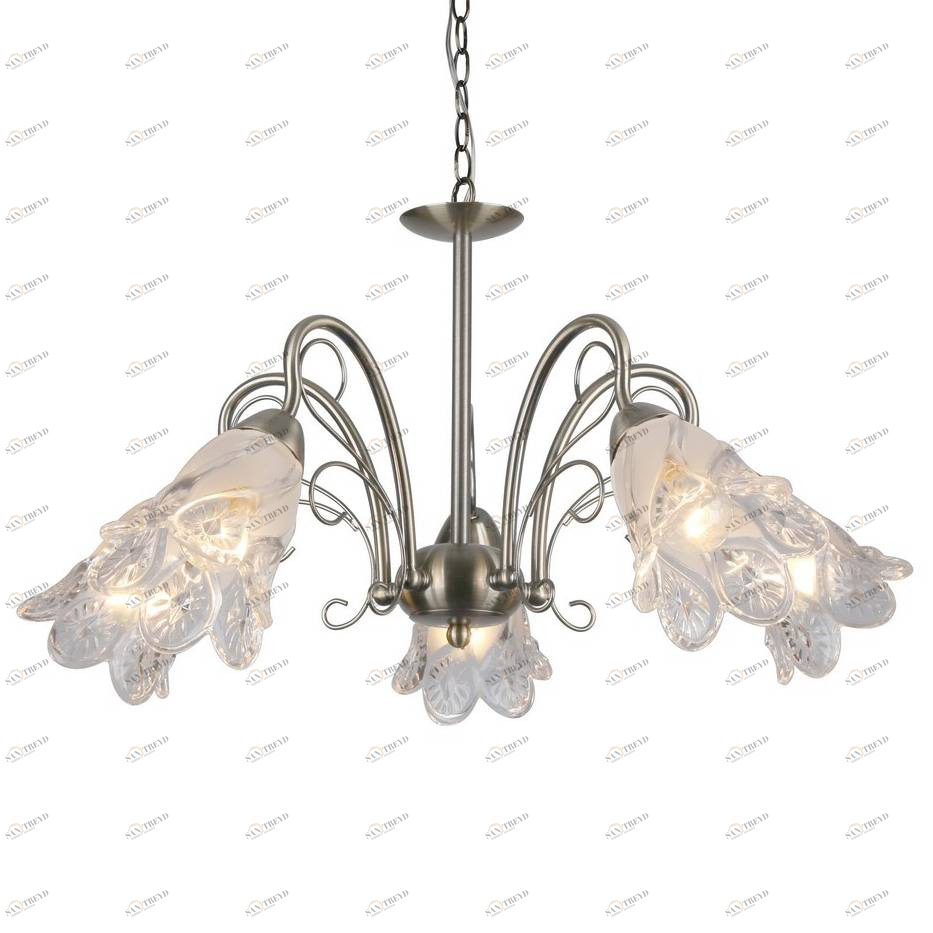 Подвесная люстра Arte Lamp 2 A6273LM-5AB ARTE LAMP ДИЗАЙНЕРСКИЕ 056495 Белый 