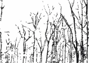 Wall&decò Уникальная полоса Contemporary wallpaper 2011