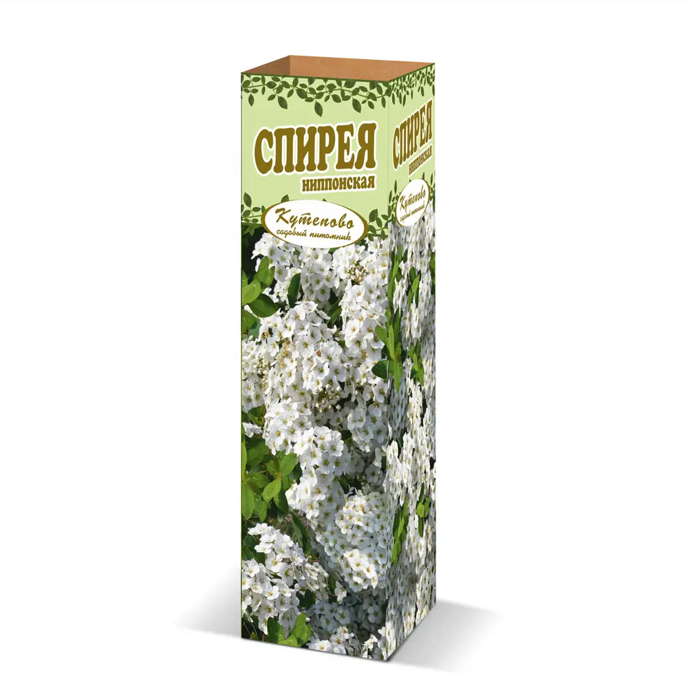 Спирея ниппонская «Флечен Фуллер» в коробке 82155634 STLM-2141698 Santreyd 