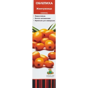 Облепиха Жемчужница h40 см 86543960 STLM-2097384