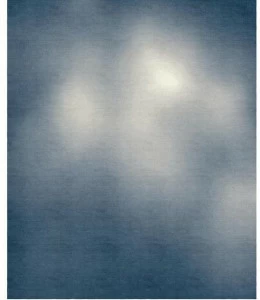 Tapis Rouge Прямоугольный коврик ручной работы Senses Tr1516