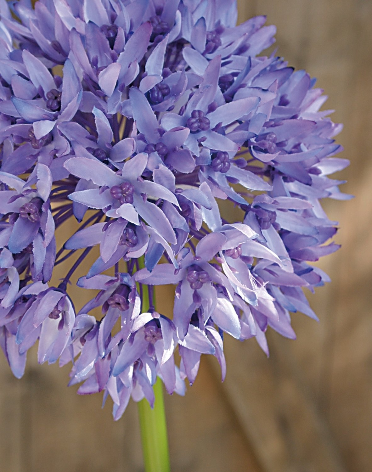 9807 227 a2 Искусственный лук, 71 см, светло-фиолетовый-темно-фиолетовый H-andreas  - Вид №4