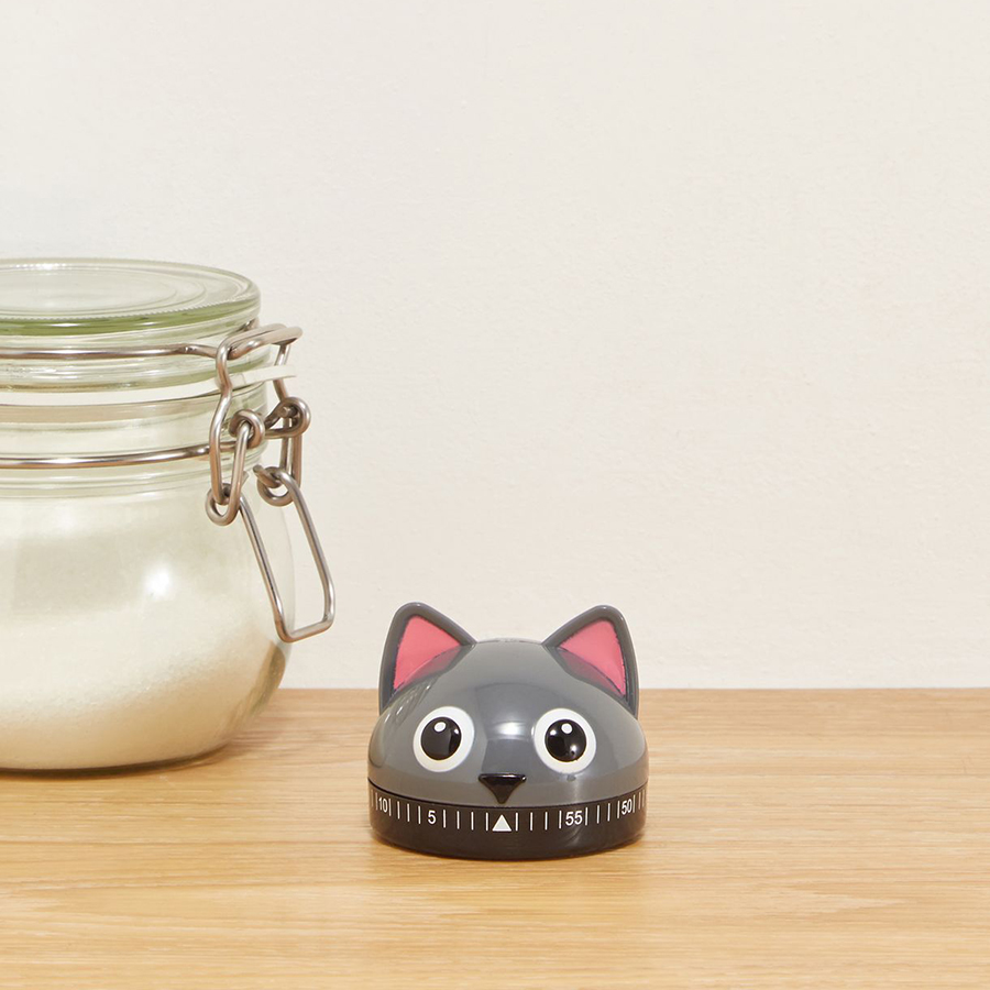 KT44 Таймер cat Kikkerland  - Вид №1