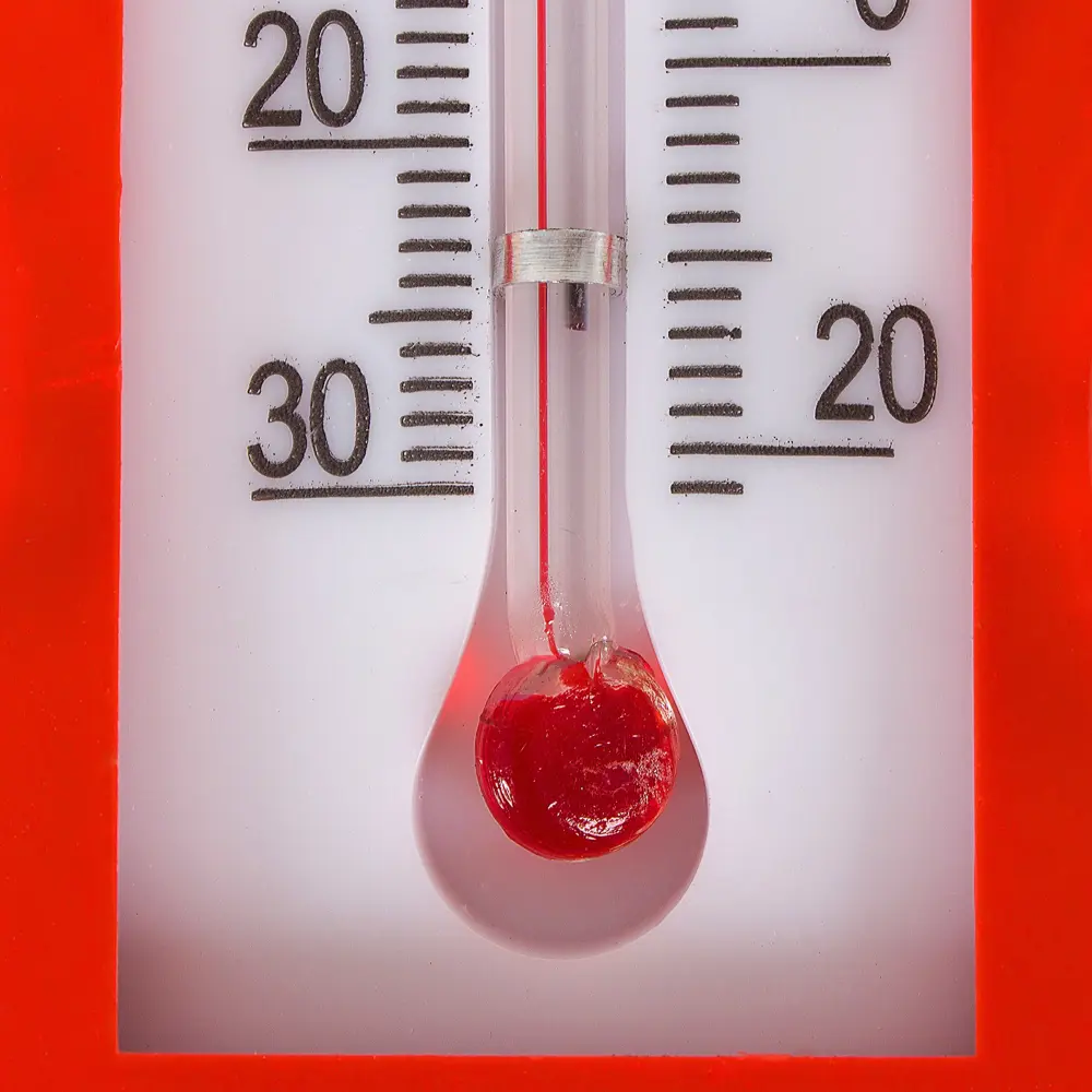 Santreyd Термометр «Божья коровка» — яркий аксессуар для окон 18163191 STLM-0009796 - Вид №3