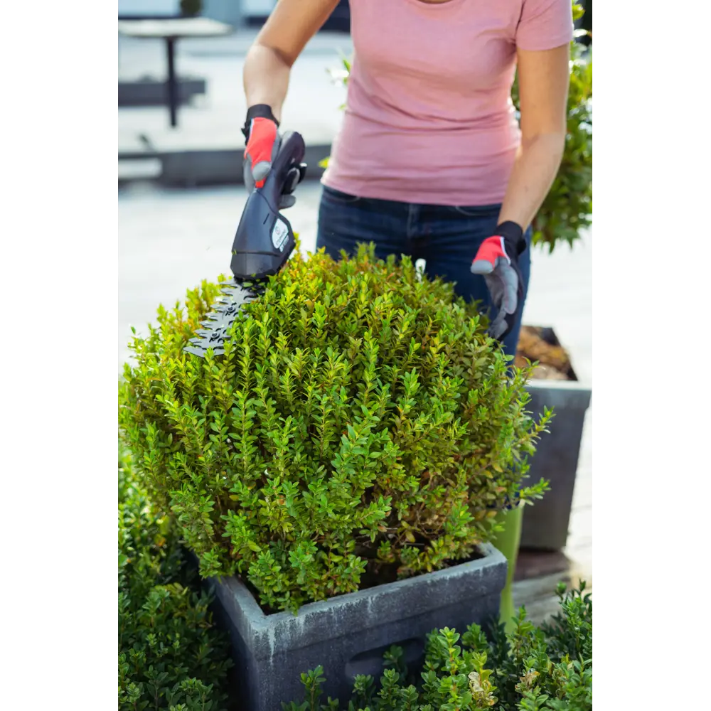 Ножницы аккумуляторные Sterwins  8 В 1x1.5 Ач АКБ и ЗУ входит в комплект STLM-2199559 - Вид №5