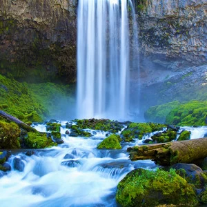 C1-015 Фотообои DIVINO Collection C 2.7х2 м