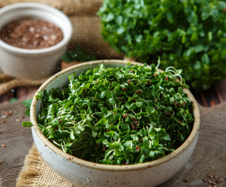 5890 Микрозелень льна Вкусляндия  - Вид №1