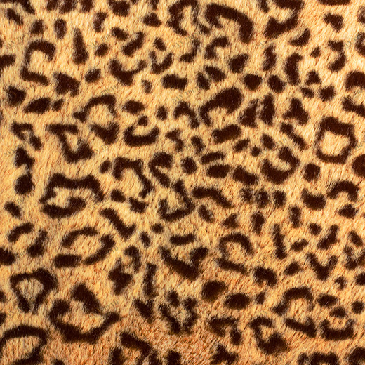 C1-184 Фотообои DIVINO Collection C 2.7х2 м C1184