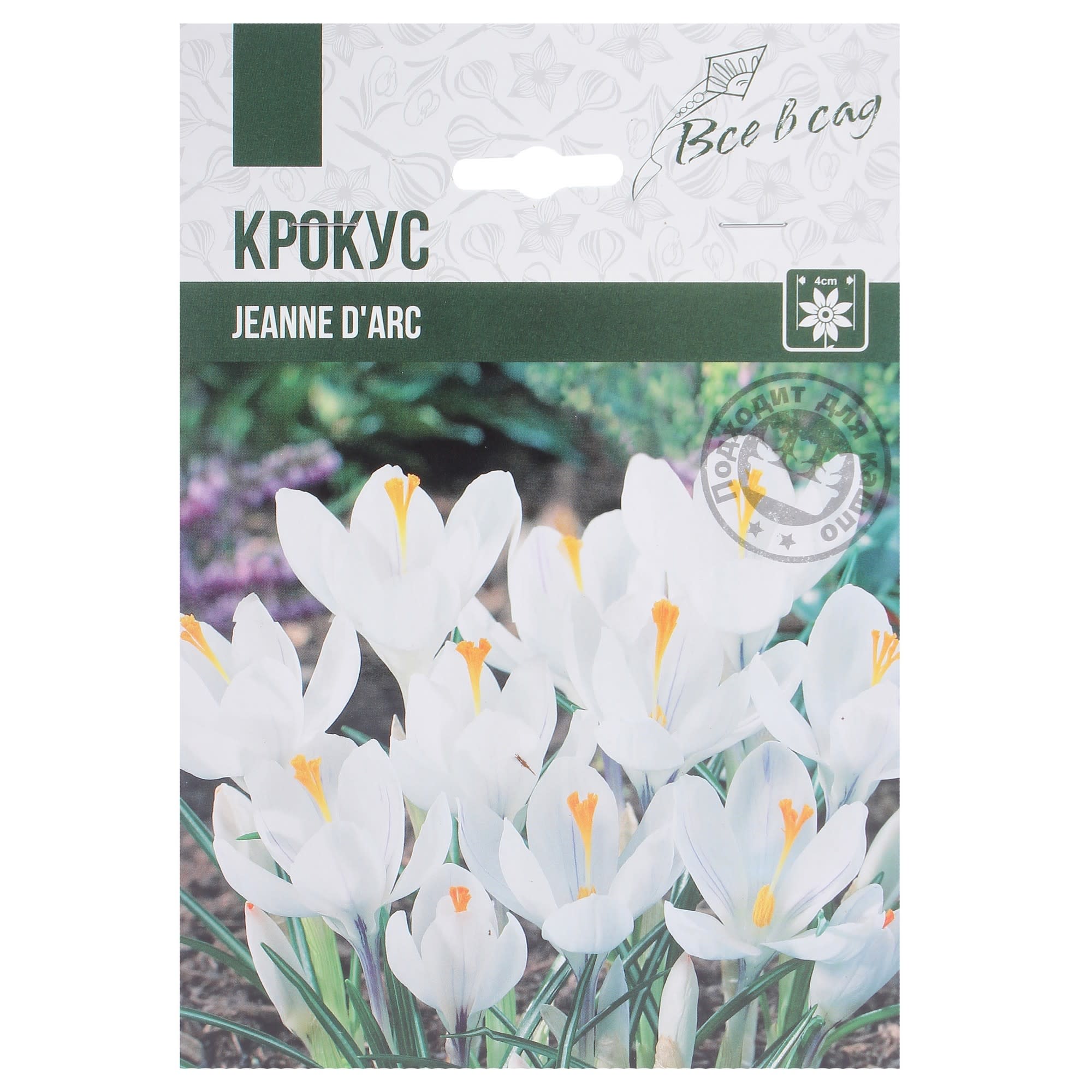 82004063 Крокус крупноцветковый «Жанна Д арк» Santreyd 