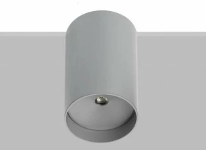 Flexalighting Потолочный светильник с системой RGB