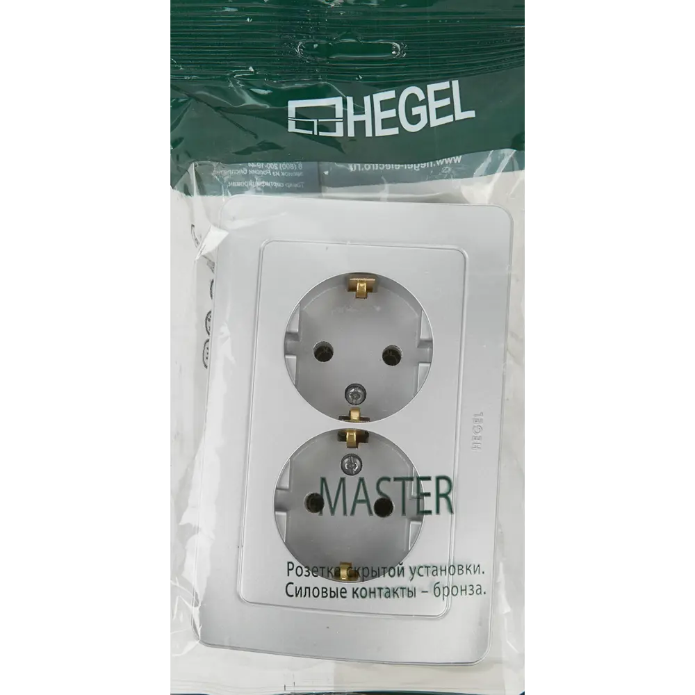 Розетка двойная встраиваемая Hegel Мастер с заземлением цвет серебро STLM-2032186 - Вид №5