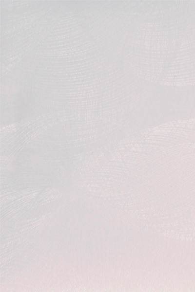 Панель ПВХ Супершелк Ламинированная панель  250мм DEKOR PANEL DP220