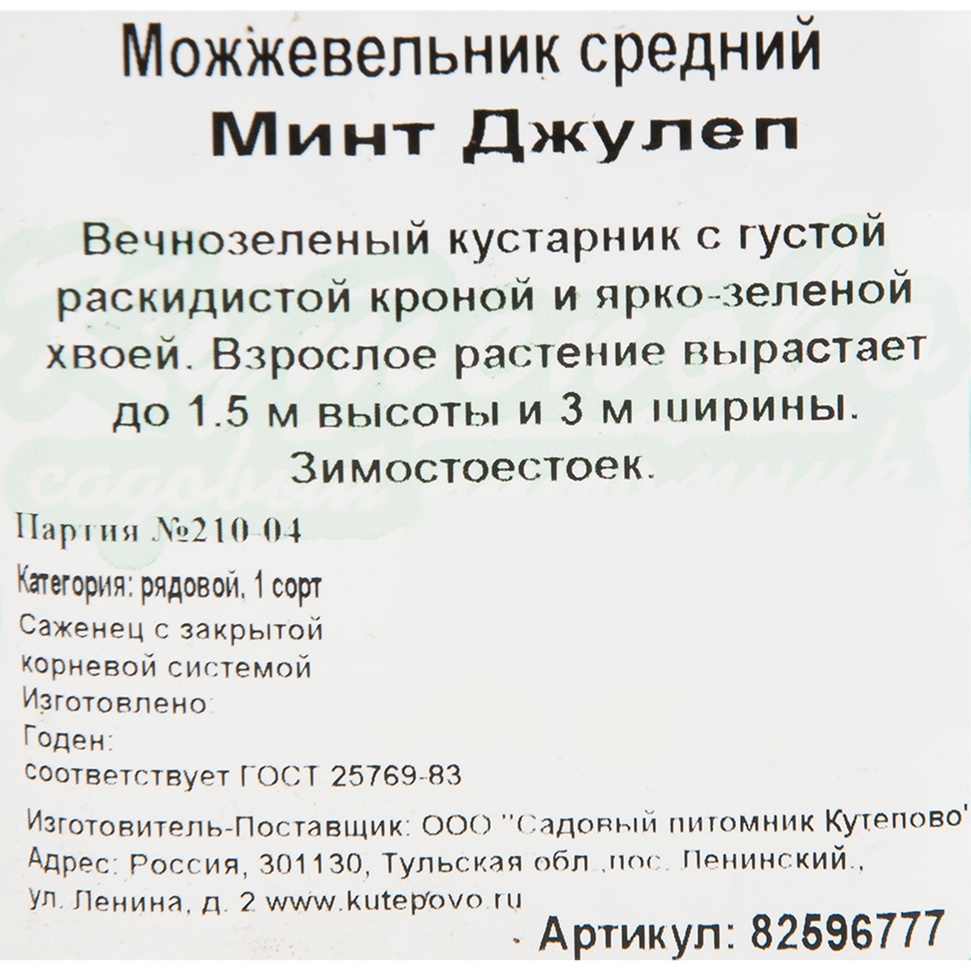 82596777 Можжевельник 9x15 см Santreyd  - Вид №1