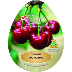 Черешня Гронкавая сетка h200 см 87737962 STLM-2118962