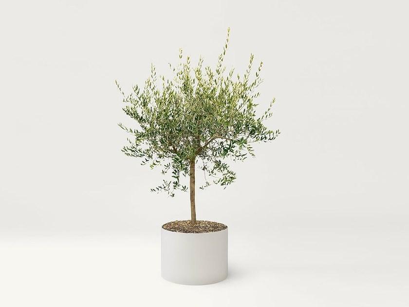 Paola Lenti Держатель для посуды из нержавеющей стали sun-id-1425279 - Вид №1