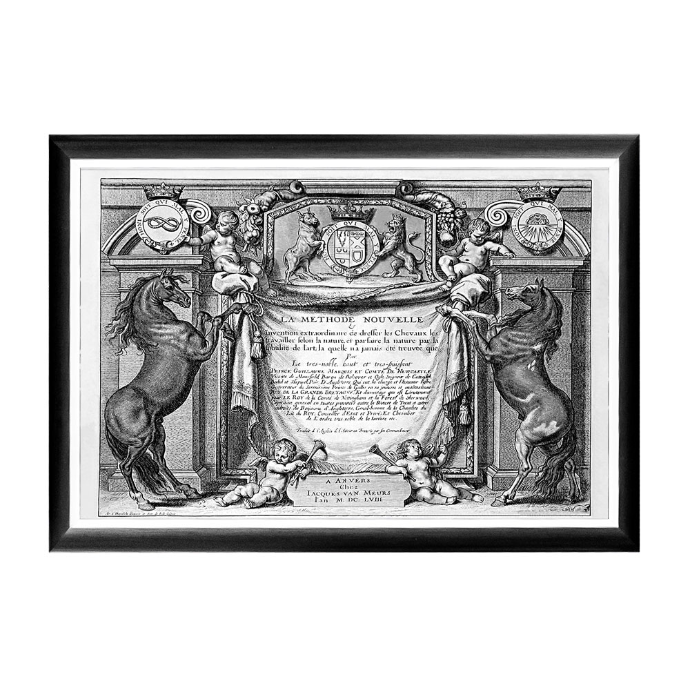 732021922_1818 Арт-постер «Новейший метод конного искусства», титульный лист Object Desire 