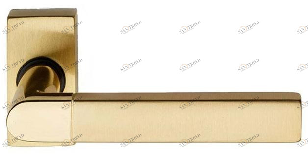 Pasini Ручка из латуни на розетке Expo 2 3771 