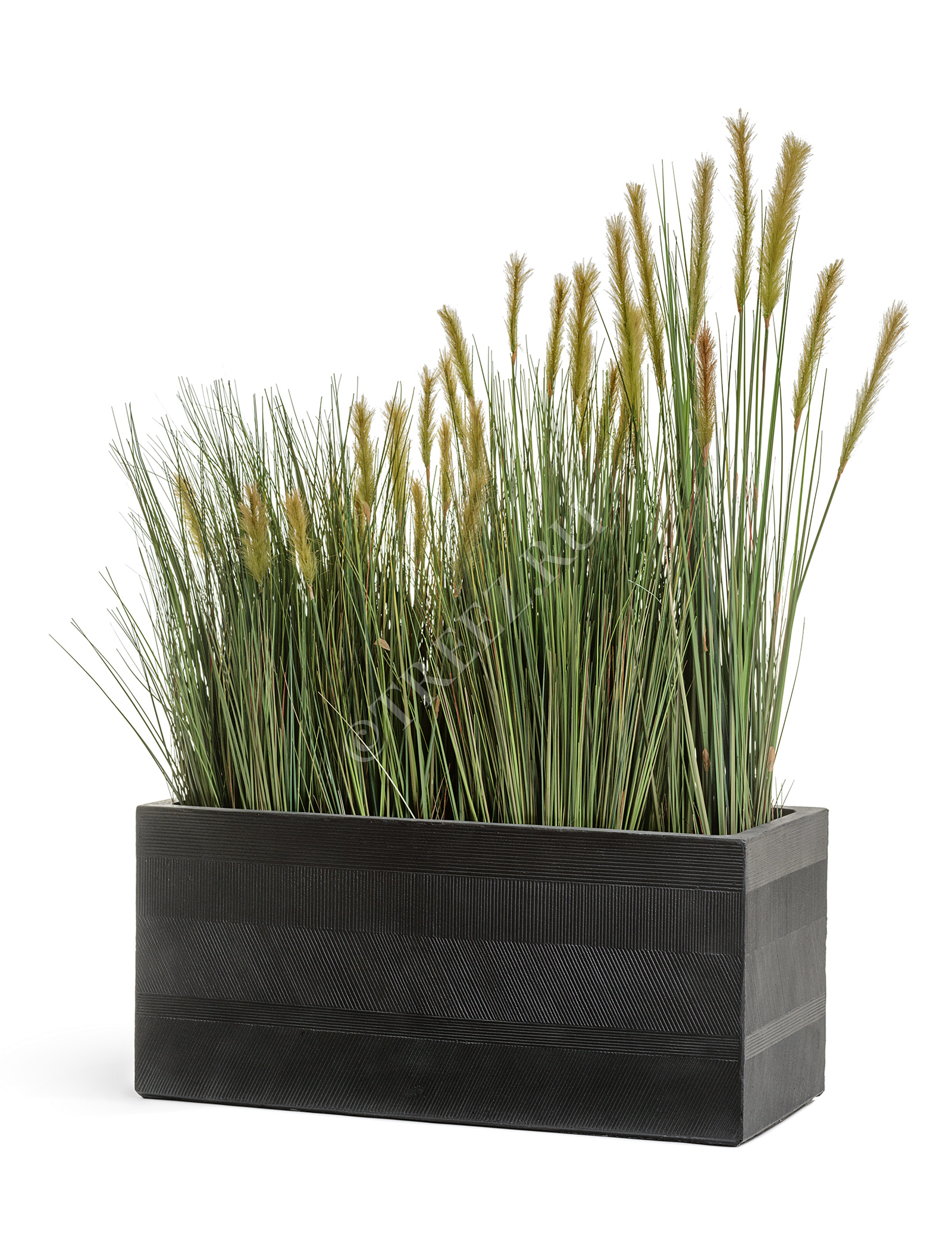 20.1040L-090 Трава Осока Элеганс куст с зелёными султанами Цветочная коллекция  - Вид №7