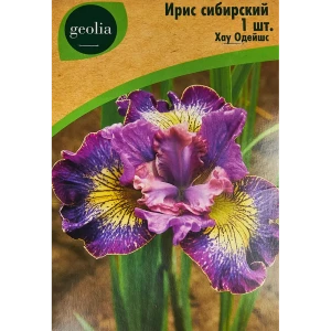 Ирис Geolia сибирский Хау Одейшс 86408579 STLM-2167230