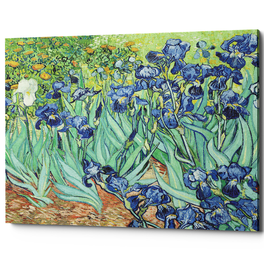 896522177_2628 Картина «Ирисы» (холст, галерейная натяжка) Object Desire 