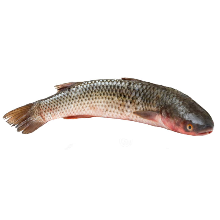 Кефаль охлажденная ~1,5 кг Santreyd 11782