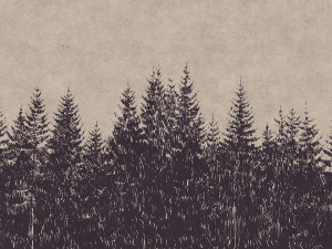 Цифровые печатные обои с пейзажами